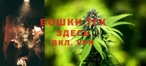 дмт Кодинск