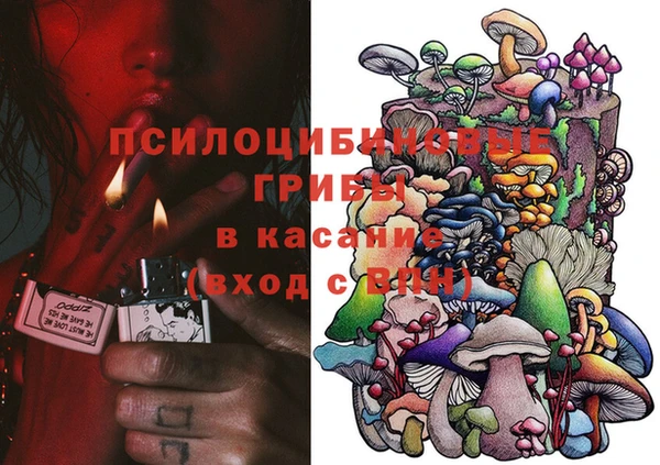 дмт Кодинск