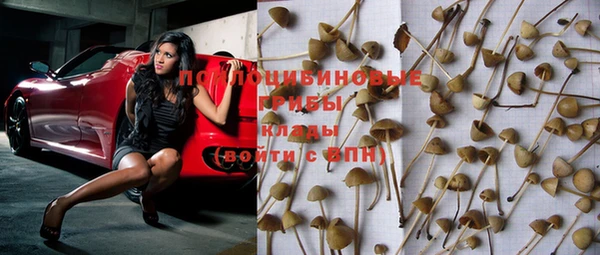 дмт Кодинск