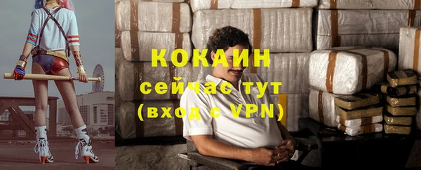 PSILOCYBIN Козловка