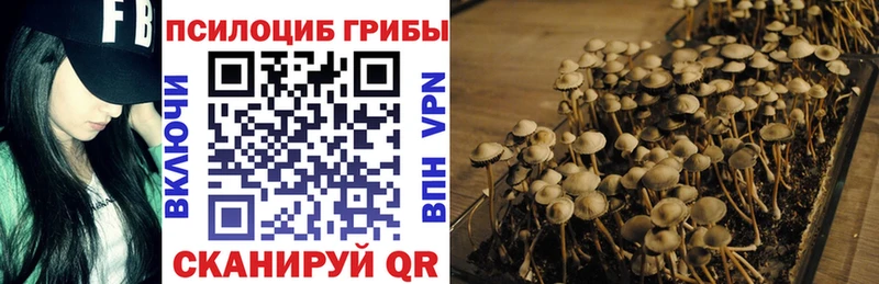 Псилоцибиновые грибы Psilocybine cubensis  Купить где  Волгореченск 